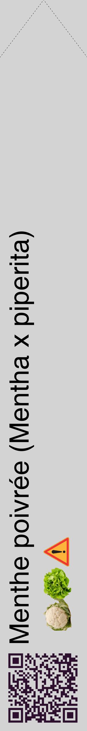 Étiquette de : Mentha x piperita - format c - style noire56_simplehel avec qrcode et comestibilité simplifiée
