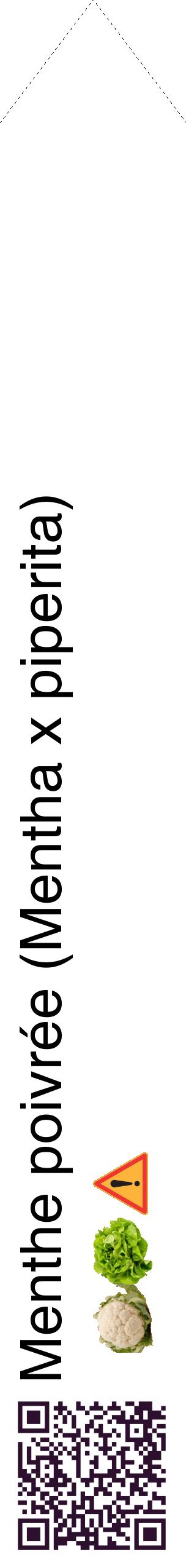 Étiquette de : Mentha x piperita - format c - style noire60_simplehel avec qrcode et comestibilité simplifiée