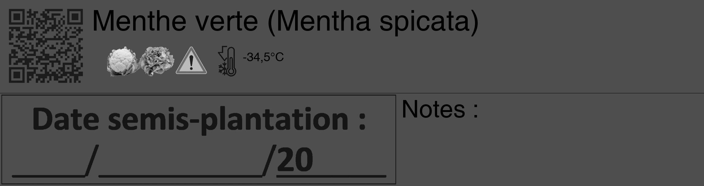 Étiquette de : Mentha spicata - format c - style noire33_basique_basiquehel avec qrcode et comestibilité simplifiée