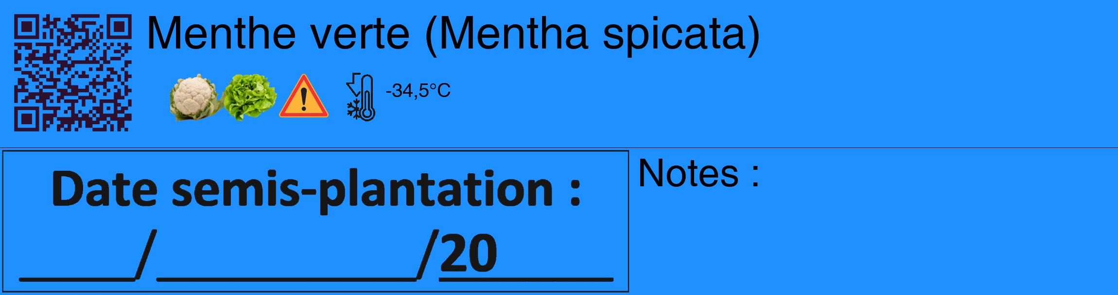 Étiquette de : Mentha spicata - format c - style noire3_basique_basiquehel avec qrcode et comestibilité simplifiée