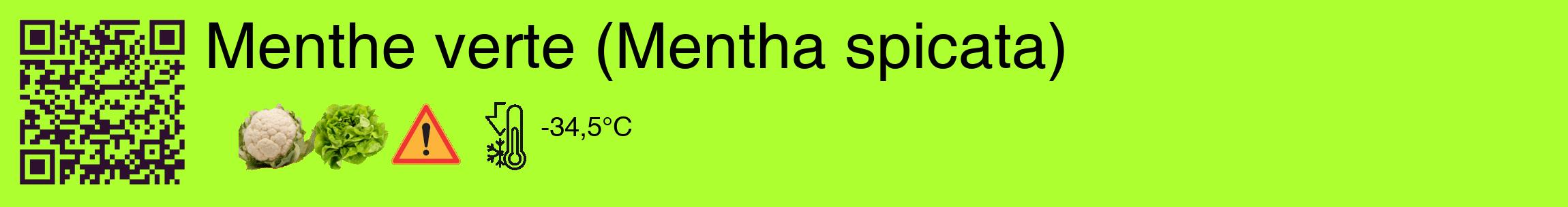 Étiquette de : Mentha spicata - format c - style noire17_basique_basiquehel avec qrcode et comestibilité simplifiée