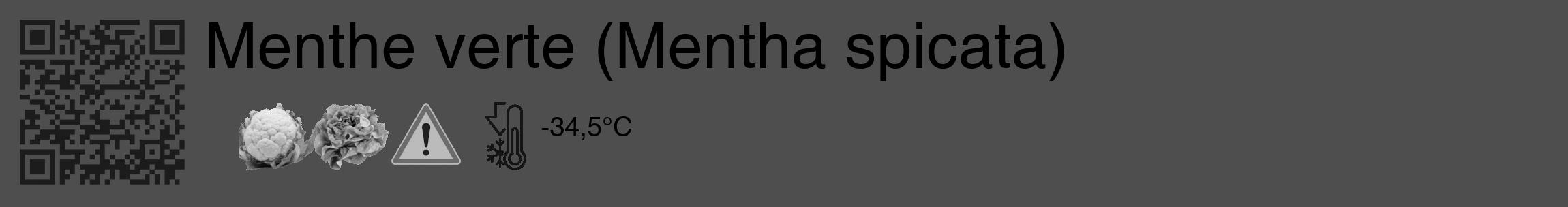 Étiquette de : Mentha spicata - format c - style noire33_basique_basiquehel avec qrcode et comestibilité simplifiée