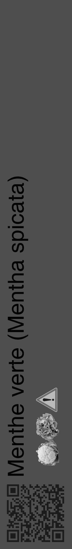 Étiquette de : Mentha spicata - format c - style noire33_basique_basiquehel avec qrcode et comestibilité simplifiée - position verticale