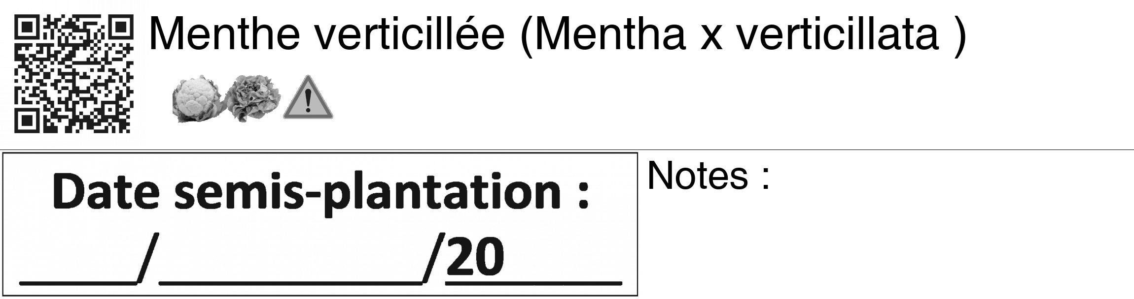 Étiquette de : Mentha x verticillata  - format c - style noire60_basiquegrrvhel avec qrcode et comestibilité simplifiée