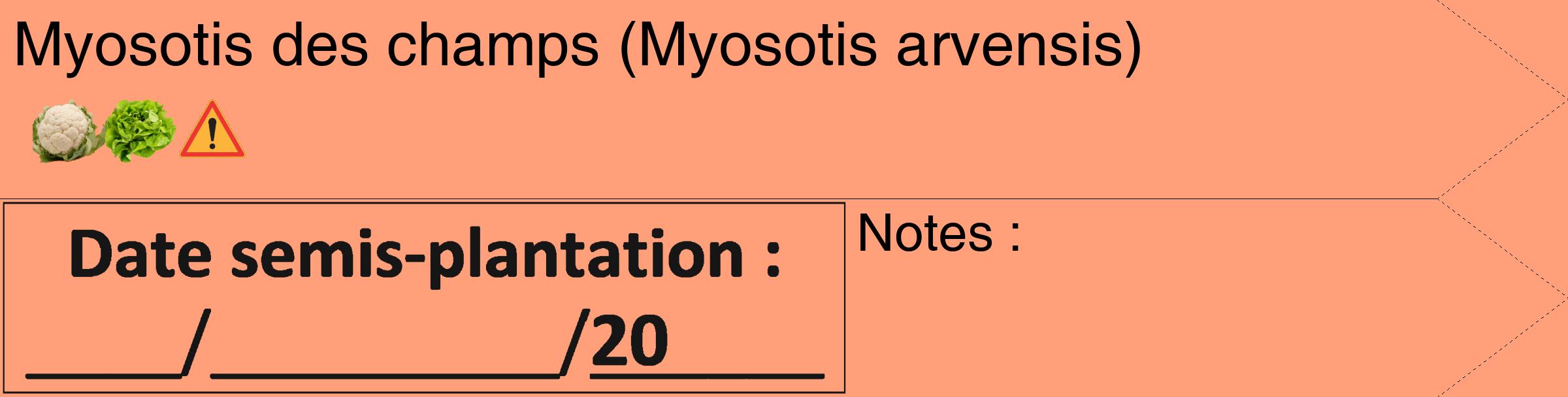 Étiquette de : Myosotis arvensis - format c - style noire39_simple_simplehel avec comestibilité simplifiée