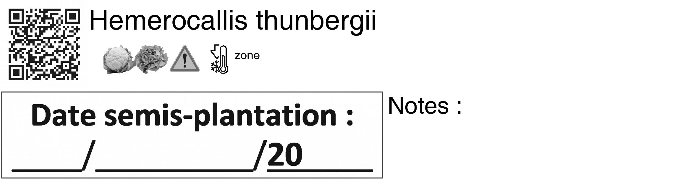 Étiquette de : Hemerocallis thunbergii - format c - style noire60_basiquegrrvhel avec qrcode et comestibilité simplifiée