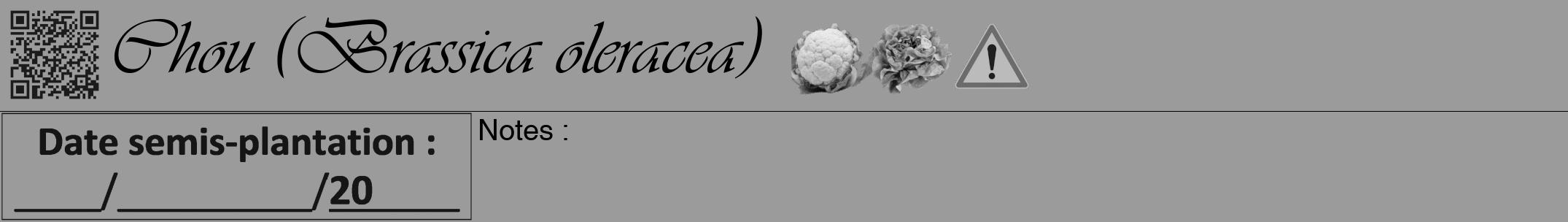 Étiquette de : Brassica oleracea - format a - style noire52viv avec qrcode et comestibilité simplifiée