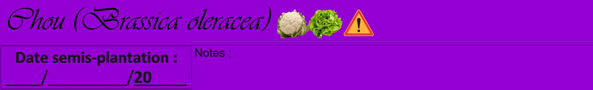 Étiquette de : Brassica oleracea - format a - style noire48viv avec comestibilité simplifiée