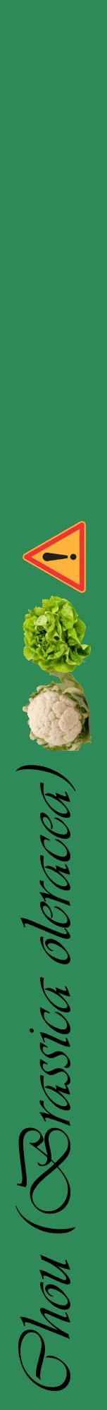 Étiquette de : Brassica oleracea - format a - style noire11viv avec comestibilité simplifiée