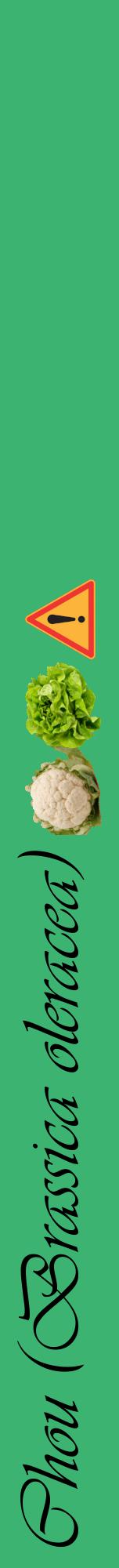 Étiquette de : Brassica oleracea - format a - style noire12viv avec comestibilité simplifiée