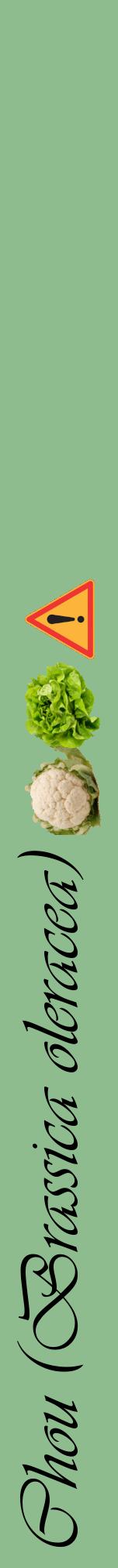 Étiquette de : Brassica oleracea - format a - style noire13viv avec comestibilité simplifiée