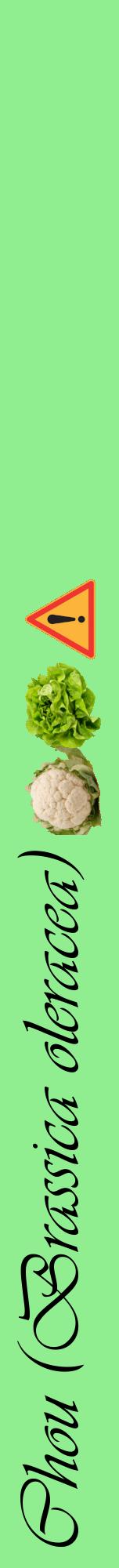 Étiquette de : Brassica oleracea - format a - style noire15viv avec comestibilité simplifiée
