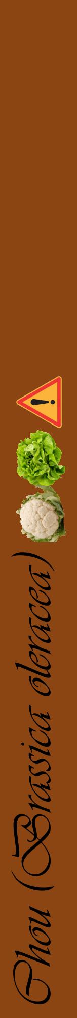Étiquette de : Brassica oleracea - format a - style noire30viv avec comestibilité simplifiée