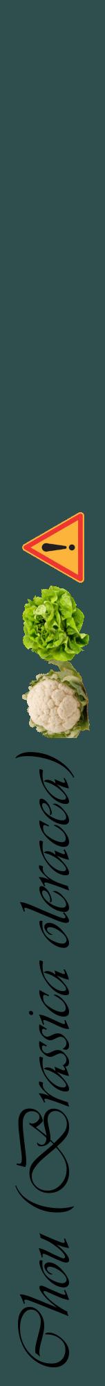 Étiquette de : Brassica oleracea - format a - style noire58viv avec comestibilité simplifiée