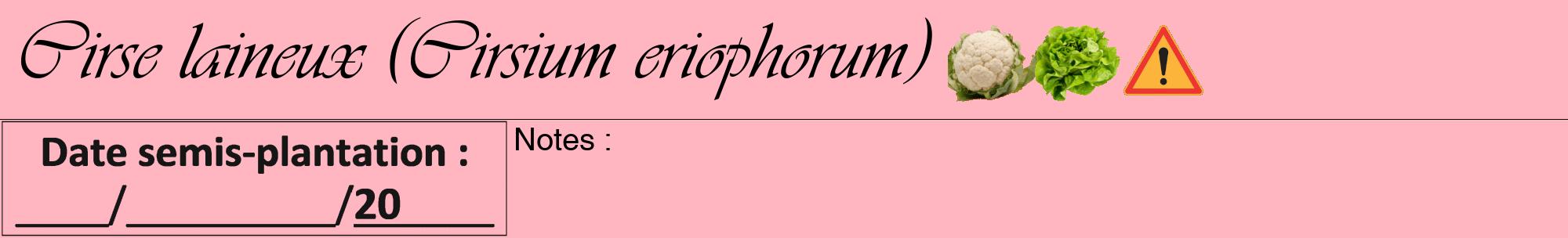 Étiquette de : Cirsium eriophorum - format a - style noire41viv avec comestibilité simplifiée