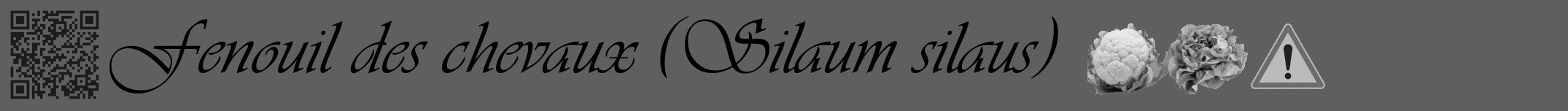 Étiquette de : Silaum silaus - format a - style noire10viv avec qrcode et comestibilité simplifiée