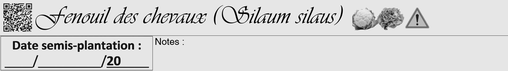 Étiquette de : Silaum silaus - format a - style noire18viv avec qrcode et comestibilité simplifiée