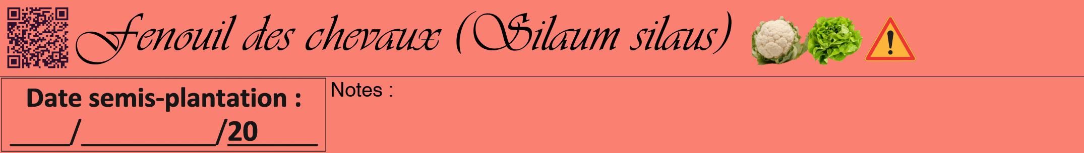 Étiquette de : Silaum silaus - format a - style noire38viv avec qrcode et comestibilité simplifiée