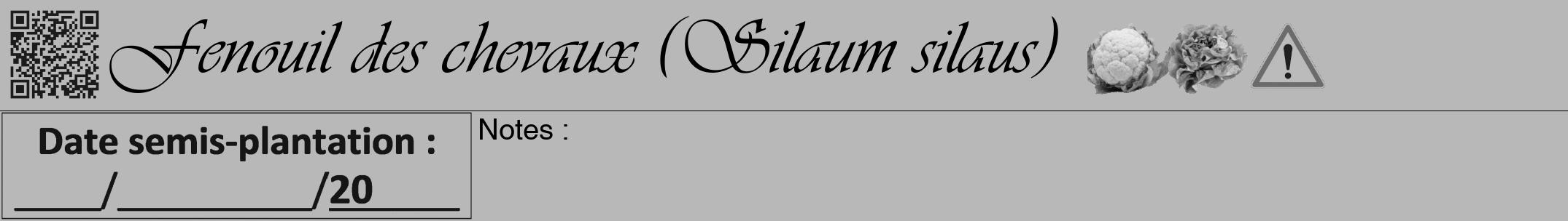 Étiquette de : Silaum silaus - format a - style noire39viv avec qrcode et comestibilité simplifiée