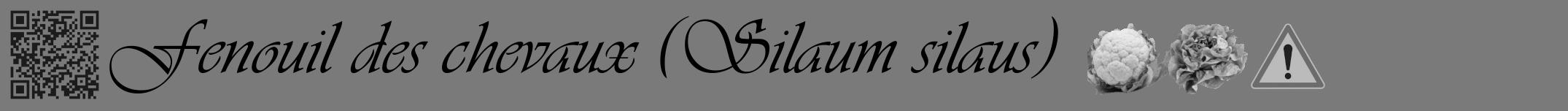 Étiquette de : Silaum silaus - format a - style noire3viv avec qrcode et comestibilité simplifiée