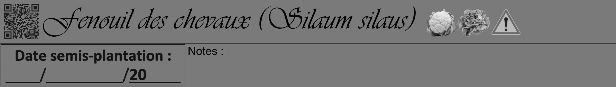 Étiquette de : Silaum silaus - format a - style noire3viv avec qrcode et comestibilité simplifiée
