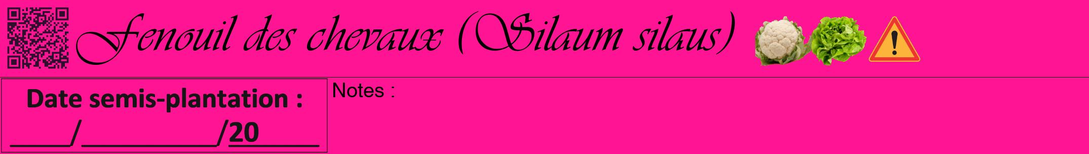 Étiquette de : Silaum silaus - format a - style noire43viv avec qrcode et comestibilité simplifiée