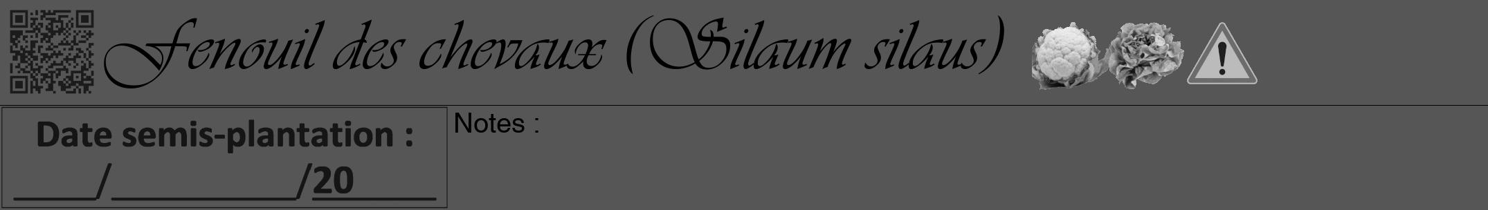 Étiquette de : Silaum silaus - format a - style noire45viv avec qrcode et comestibilité simplifiée