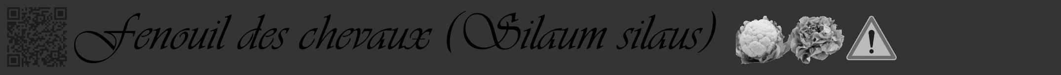 Étiquette de : Silaum silaus - format a - style noire46viv avec qrcode et comestibilité simplifiée