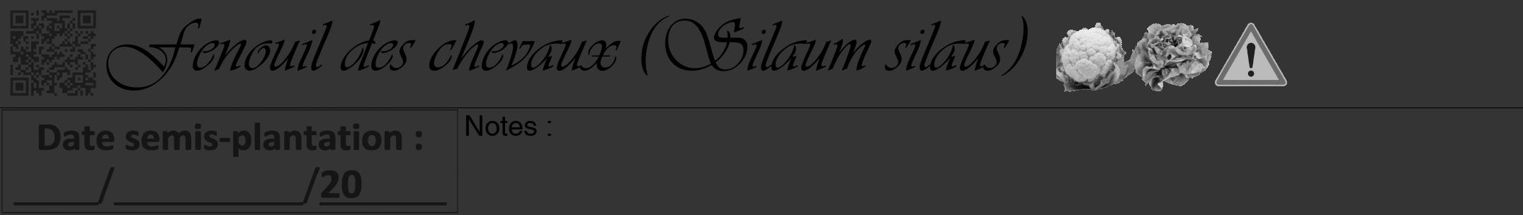 Étiquette de : Silaum silaus - format a - style noire46viv avec qrcode et comestibilité simplifiée