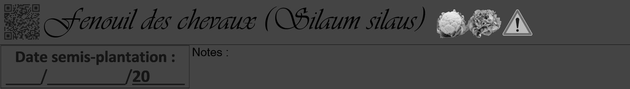 Étiquette de : Silaum silaus - format a - style noire48viv avec qrcode et comestibilité simplifiée