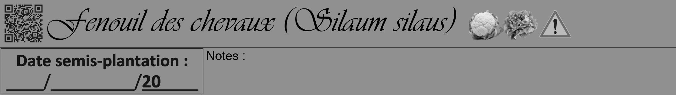 Étiquette de : Silaum silaus - format a - style noire4viv avec qrcode et comestibilité simplifiée