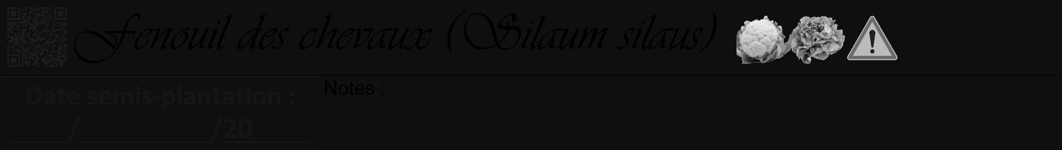 Étiquette de : Silaum silaus - format a - style noire7viv avec qrcode et comestibilité simplifiée