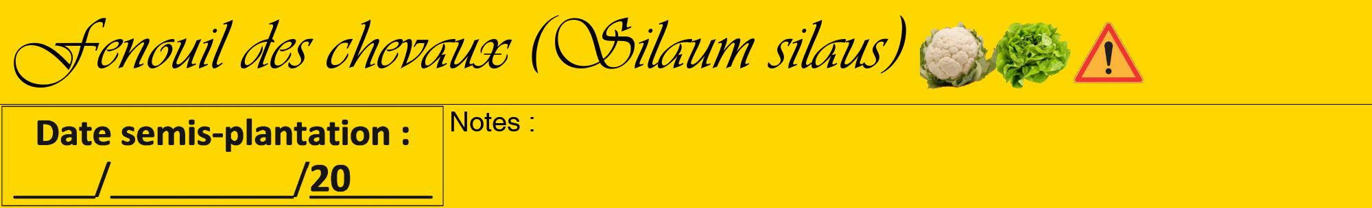 Étiquette de : Silaum silaus - format a - style noire21basiqueviv avec comestibilité simplifiée