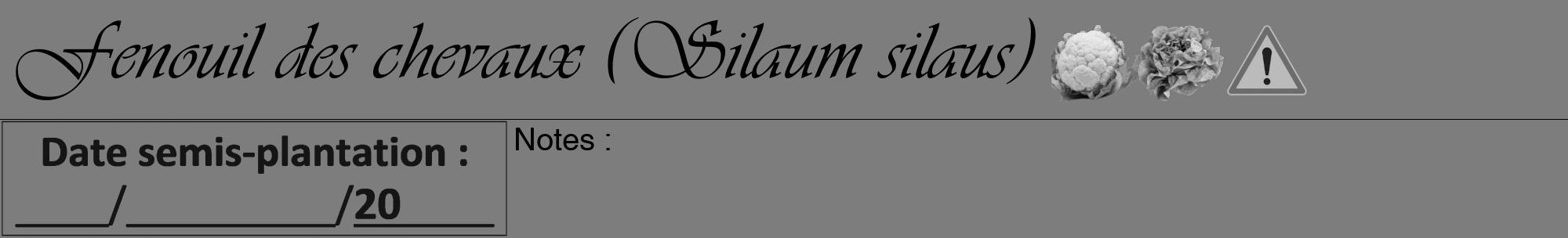 Étiquette de : Silaum silaus - format a - style noire35viv avec comestibilité simplifiée