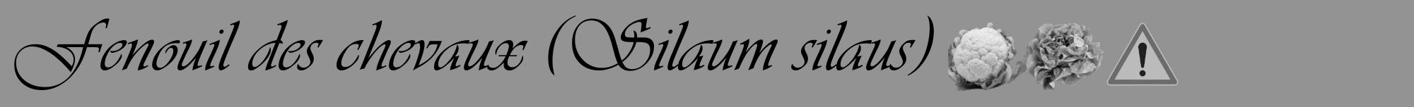 Étiquette de : Silaum silaus - format a - style noire44viv avec comestibilité simplifiée