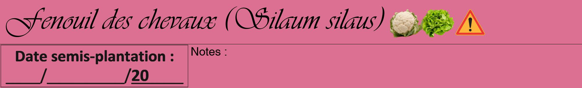Étiquette de : Silaum silaus - format a - style noire44viv avec comestibilité simplifiée