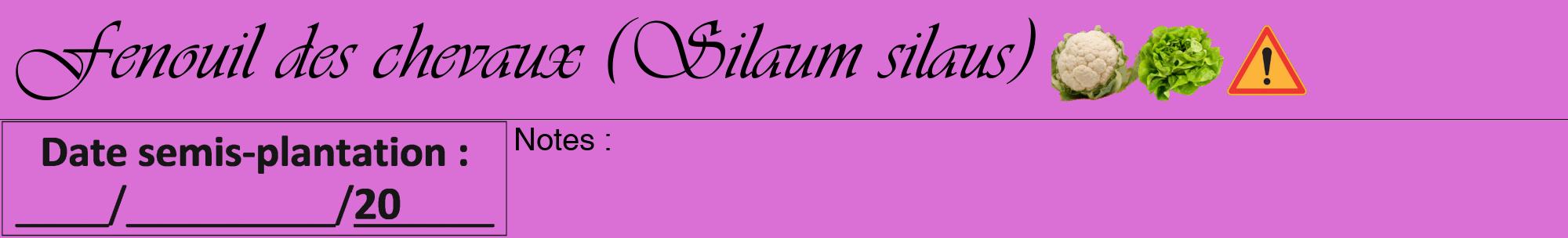 Étiquette de : Silaum silaus - format a - style noire52viv avec comestibilité simplifiée