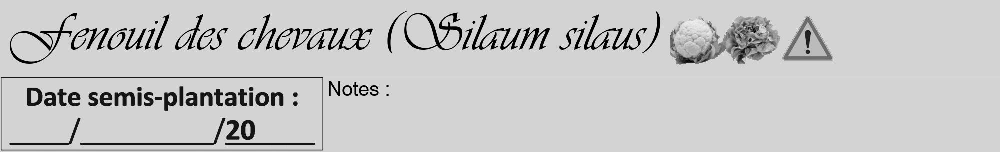 Étiquette de : Silaum silaus - format a - style noire56viv avec comestibilité simplifiée