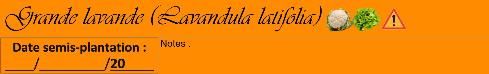 Étiquette de : Lavandula latifolia - format a - style noire23viv avec comestibilité simplifiée