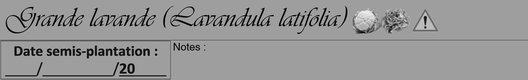 Étiquette de : Lavandula latifolia - format a - style noire23viv avec comestibilité simplifiée