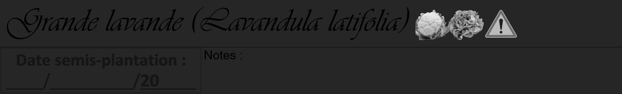 Étiquette de : Lavandula latifolia - format a - style noire29viv avec comestibilité simplifiée