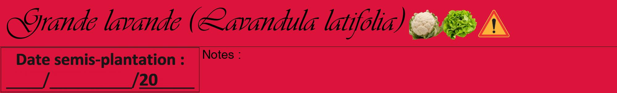 Étiquette de : Lavandula latifolia - format a - style noire36viv avec comestibilité simplifiée