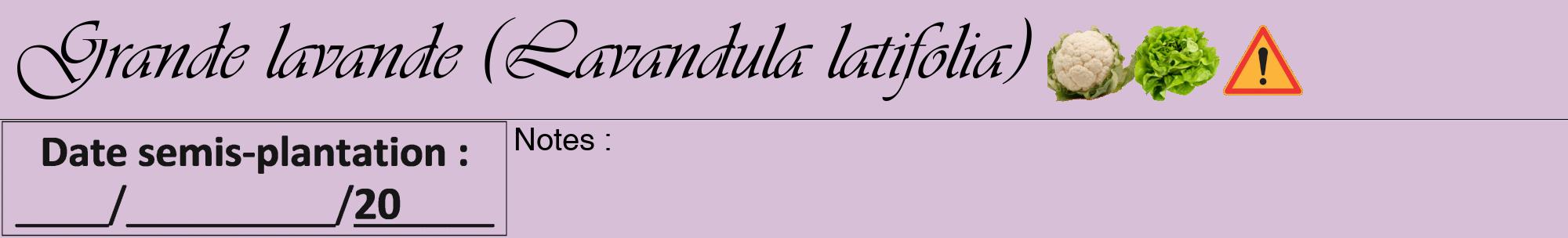 Étiquette de : Lavandula latifolia - format a - style noire54viv avec comestibilité simplifiée