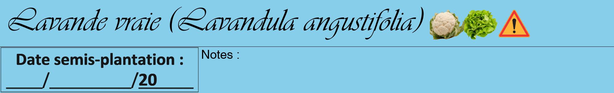 Étiquette de : Lavandula angustifolia - format a - style noire1viv avec comestibilité simplifiée