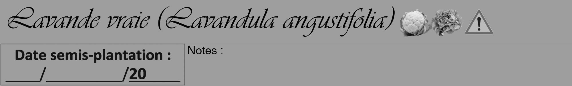 Étiquette de : Lavandula angustifolia - format a - style noire23viv avec comestibilité simplifiée