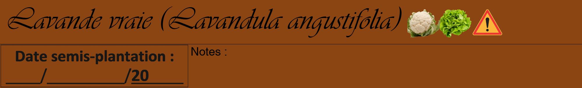 Étiquette de : Lavandula angustifolia - format a - style noire30viv avec comestibilité simplifiée