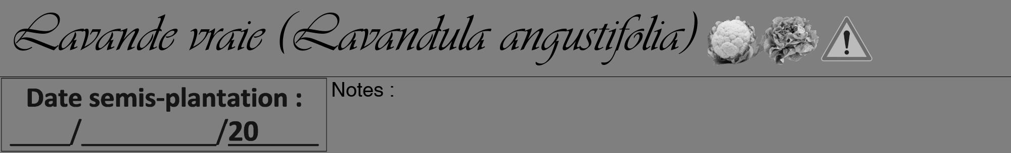 Étiquette de : Lavandula angustifolia - format a - style noire31viv avec comestibilité simplifiée