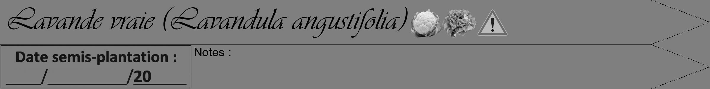 Étiquette de : Lavandula angustifolia - format a - style noire31simpleviv avec comestibilité simplifiée
