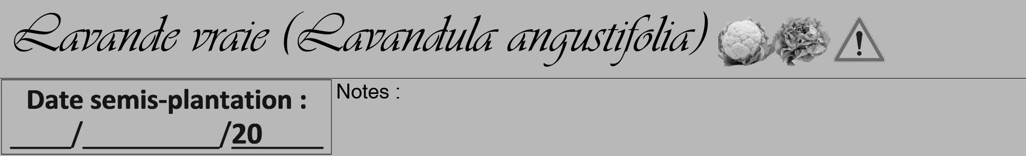Étiquette de : Lavandula angustifolia - format a - style noire39viv avec comestibilité simplifiée