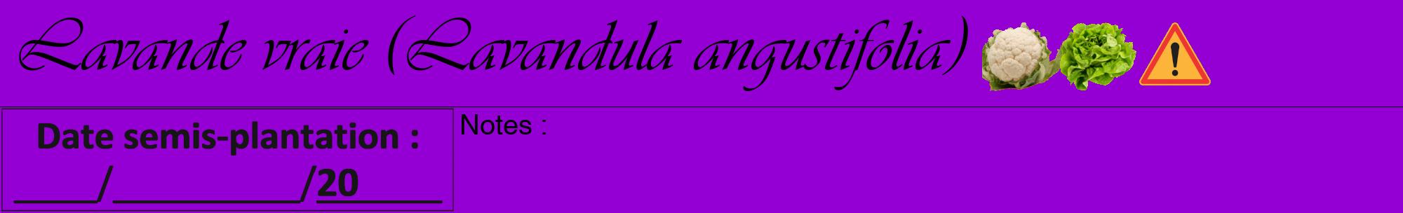 Étiquette de : Lavandula angustifolia - format a - style noire48viv avec comestibilité simplifiée